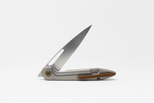 Load image into Gallery viewer, Aero FF #25